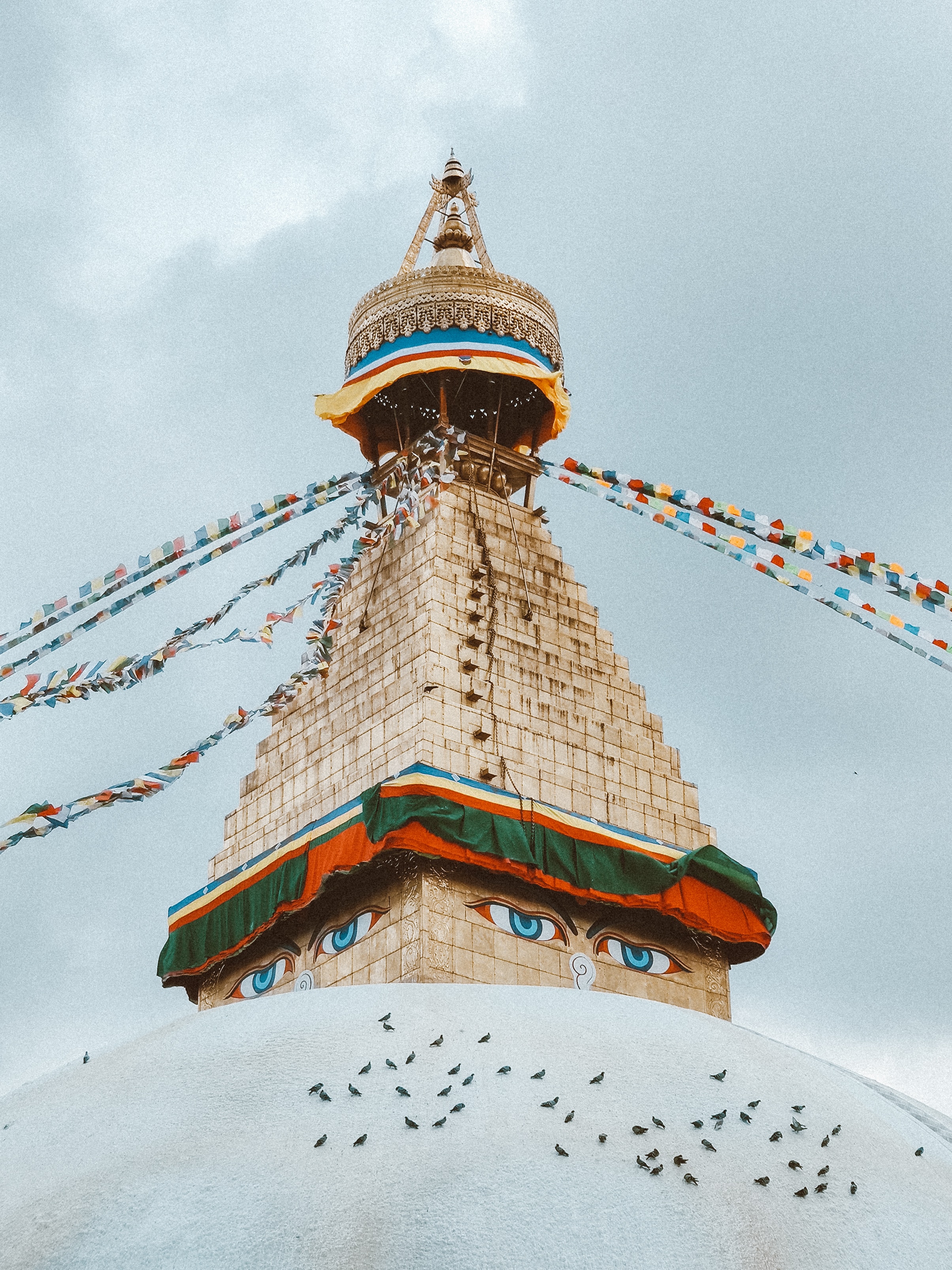 https://unsplash.com/photos/VsfhhS05xo4?utm_source=unsplash&utm_medium=referral&utm_content=creditShareLink